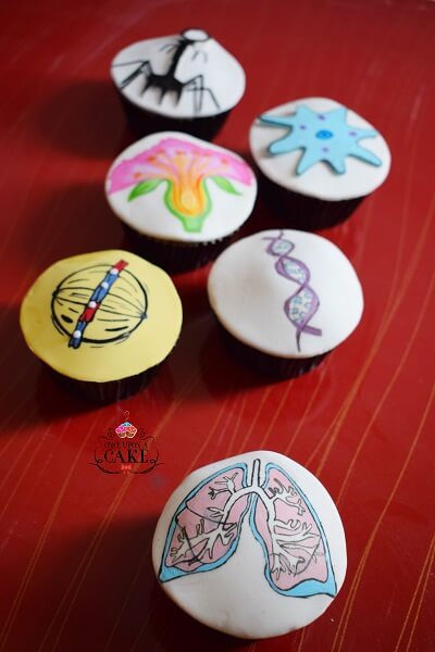 Biological Cupcakes (Min. Qty: 6)